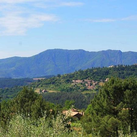 Belle Et Grande Maison Ardechoise Payzac  Εξωτερικό φωτογραφία