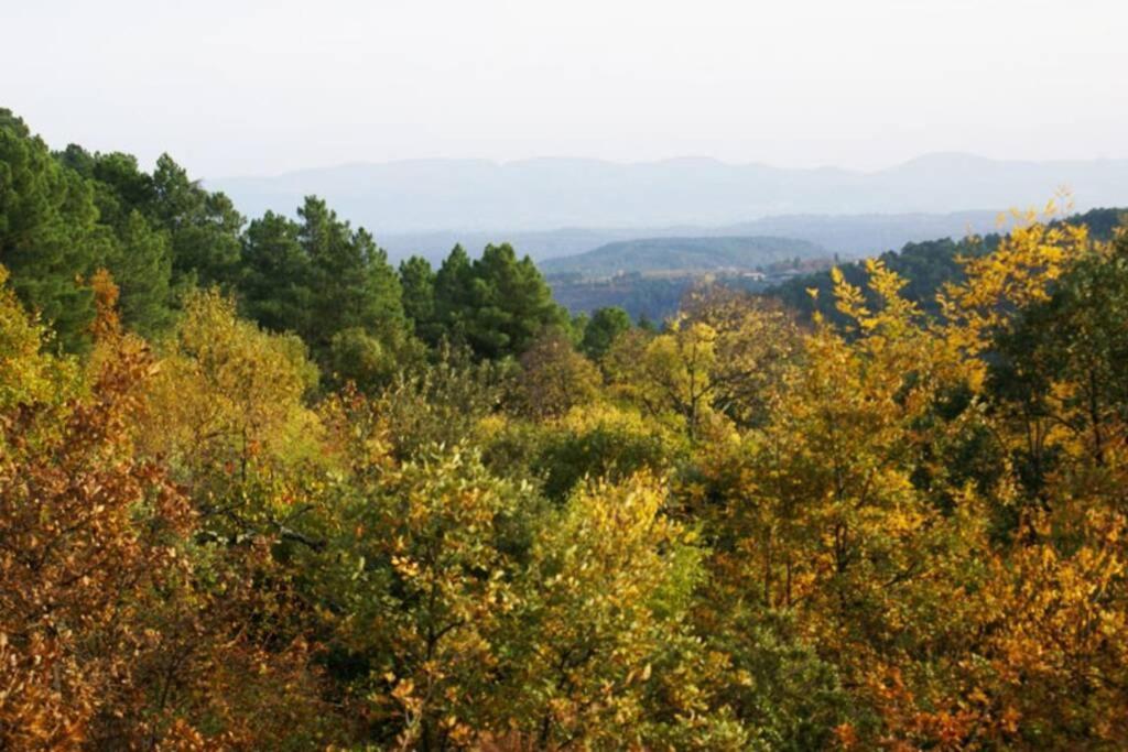Belle Et Grande Maison Ardechoise Payzac  Εξωτερικό φωτογραφία